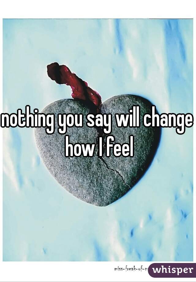 nothing you say will change how I feel