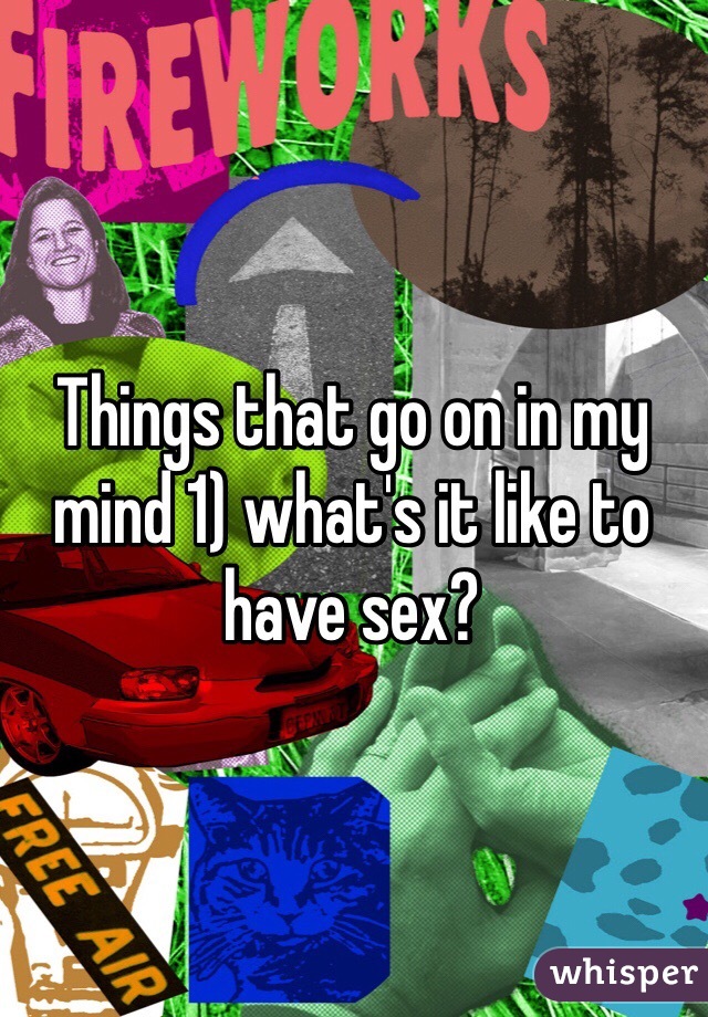 Things that go on in my mind 1) what's it like to have sex?