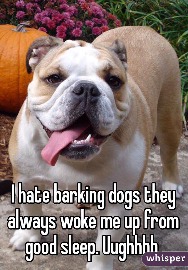 I hate barking dogs they always woke me up from good sleep. Uughhhh.  