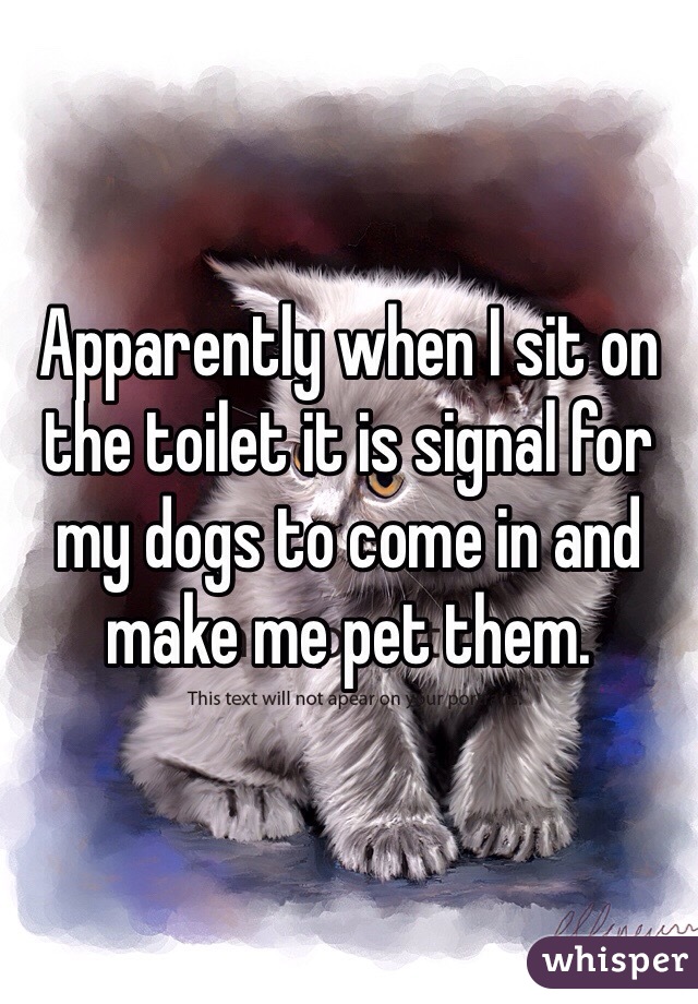 Apparently when I sit on the toilet it is signal for my dogs to come in and make me pet them. 