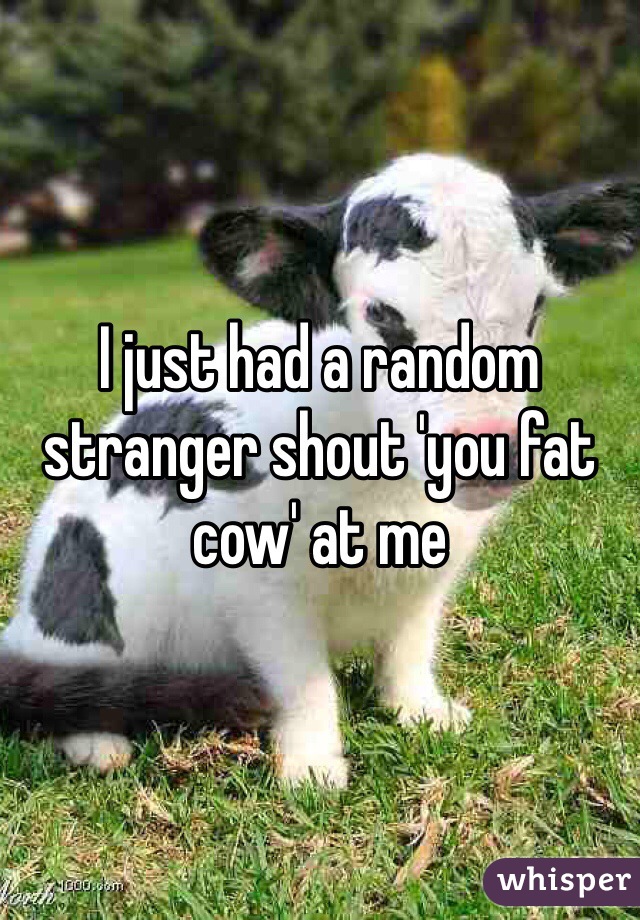 I just had a random stranger shout 'you fat cow' at me