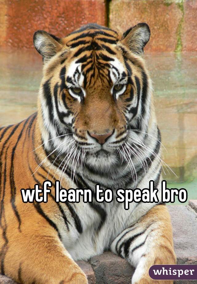 wtf learn to speak bro 