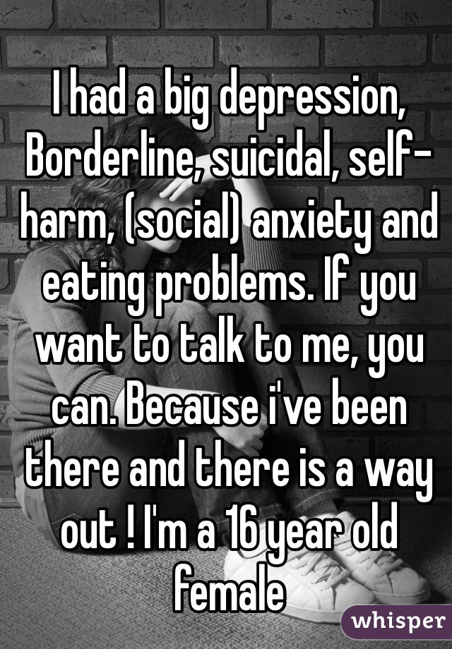 I had a big depression, Borderline, suicidal, self-harm, (social) anxiety and eating problems. If you want to talk to me, you can. Because i've been there and there is a way out ! I'm a 16 year old female