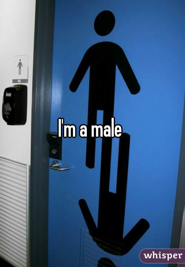 I'm a male 