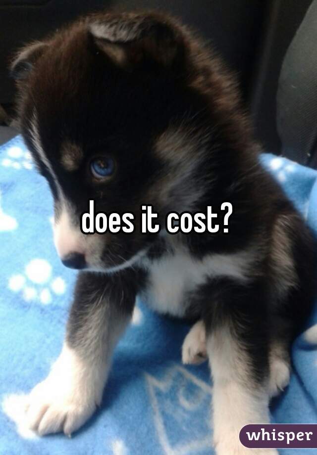 does it cost?