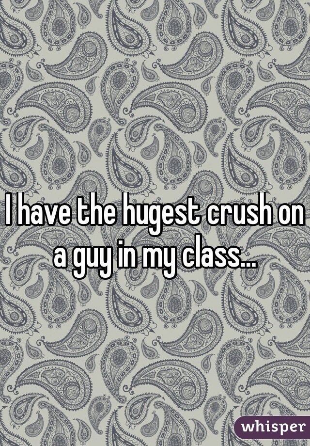 I have the hugest crush on a guy in my class...
