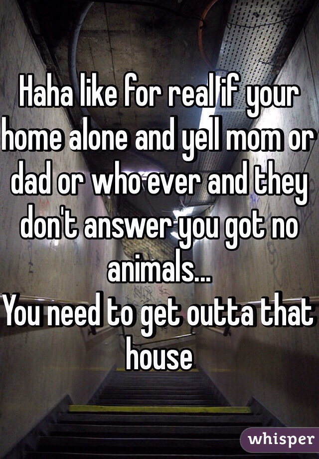 Haha like for real if your home alone and yell mom or dad or who ever and they don't answer you got no animals...
You need to get outta that house