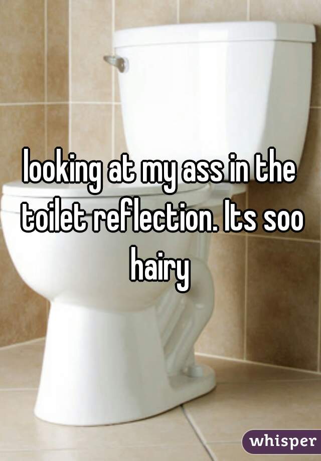 looking at my ass in the toilet reflection. Its soo hairy 