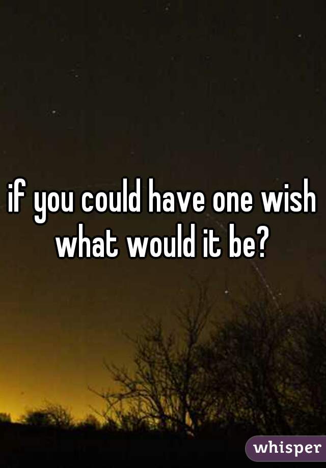 if you could have one wish what would it be? 