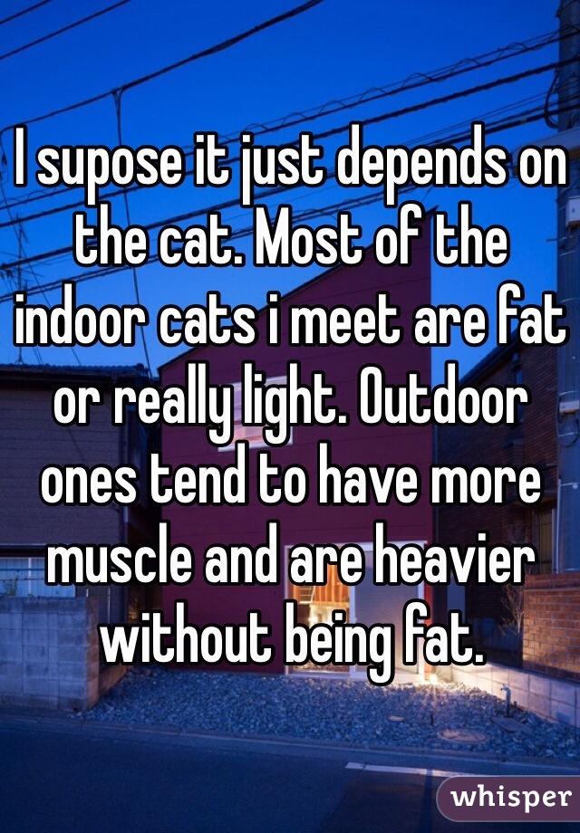 I supose it just depends on the cat. Most of the indoor cats i meet are fat or really light. Outdoor ones tend to have more muscle and are heavier without being fat. 