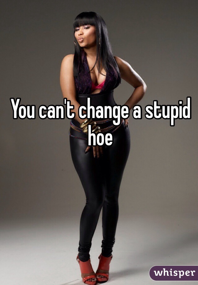 You can't change a stupid hoe