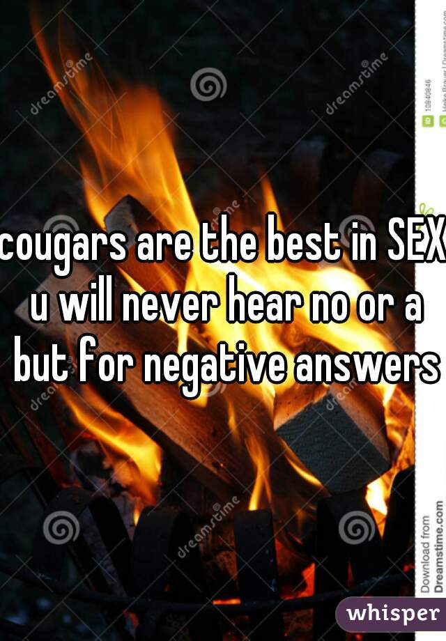 cougars are the best in SEX u will never hear no or a but for negative answers