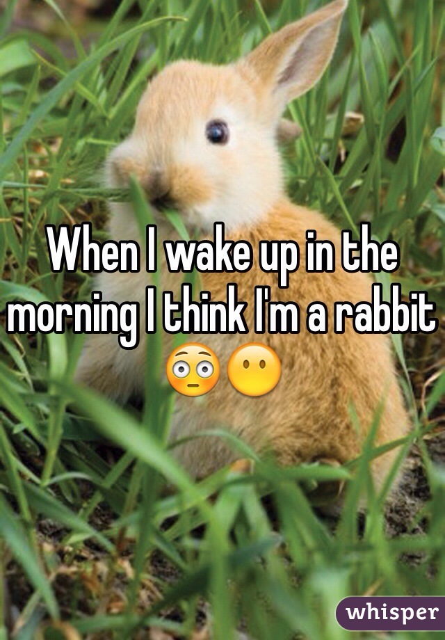 When I wake up in the morning I think I'm a rabbit 😳😶