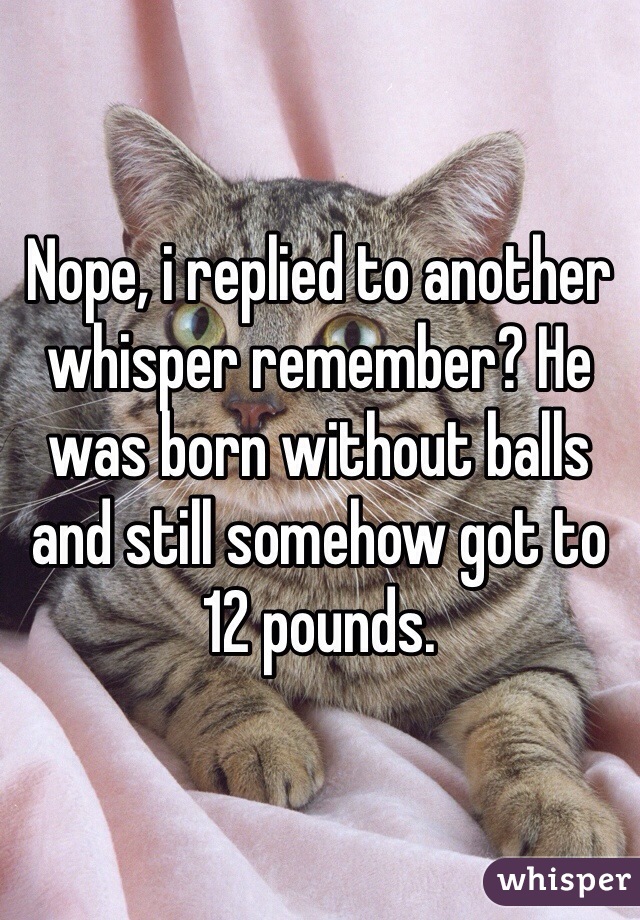 Nope, i replied to another whisper remember? He was born without balls and still somehow got to 12 pounds. 