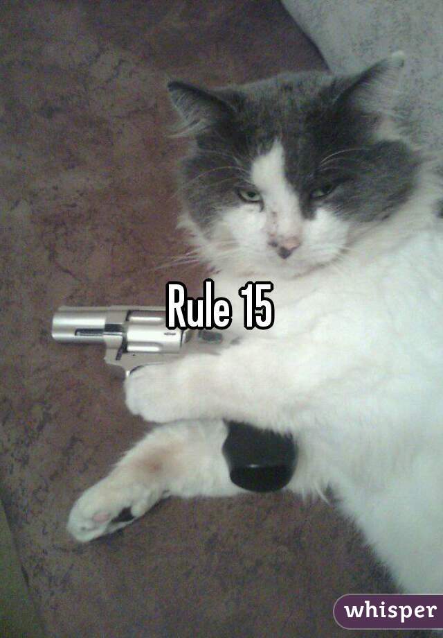 Rule 15