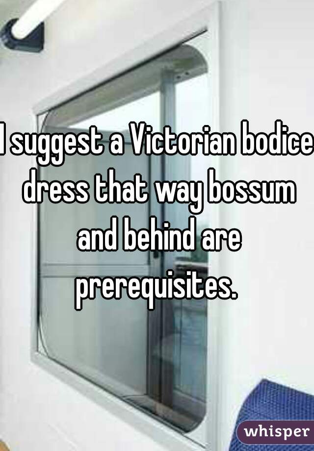 I suggest a Victorian bodice dress that way bossum and behind are prerequisites. 