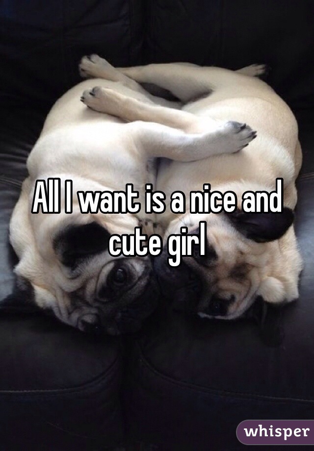 All I want is a nice and cute girl