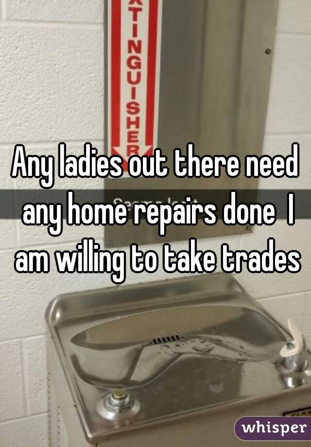 Any ladies out there need any home repairs done  I am willing to take trades