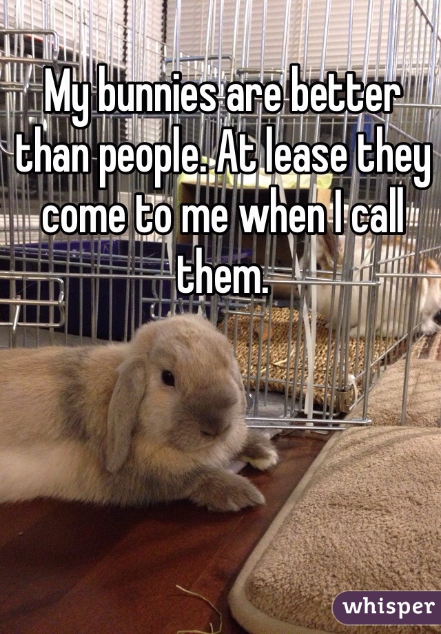 My bunnies are better than people. At lease they come to me when I call them. 