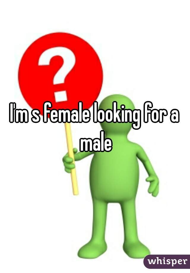 I'm s female looking for a male