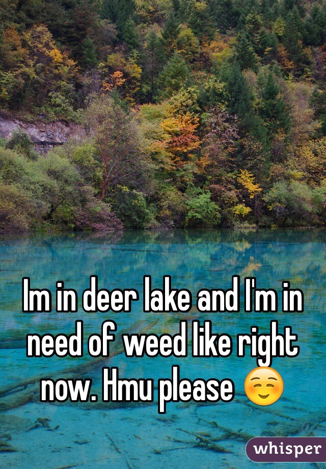 Im in deer lake and I'm in need of weed like right now. Hmu please ☺