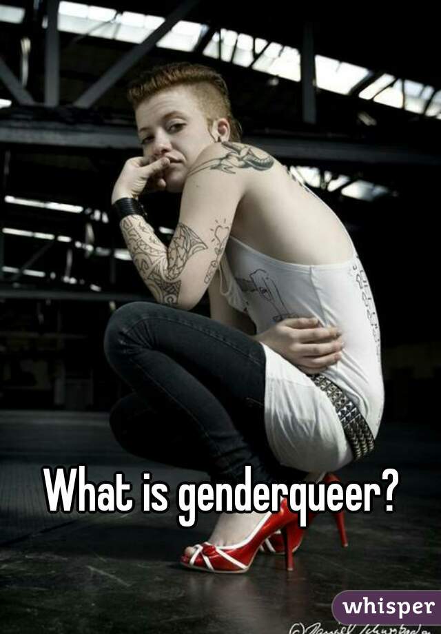 What is genderqueer?