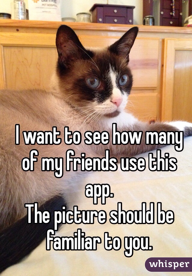 I want to see how many of my friends use this app. 
The picture should be familiar to you. 
