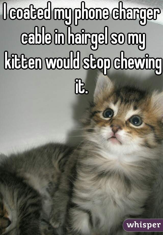 I coated my phone charger cable in hairgel so my kitten would stop chewing it. 
