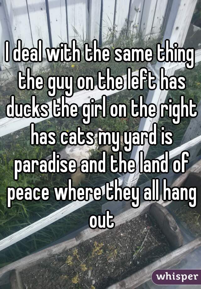I deal with the same thing the guy on the left has ducks the girl on the right has cats my yard is paradise and the land of peace where they all hang out