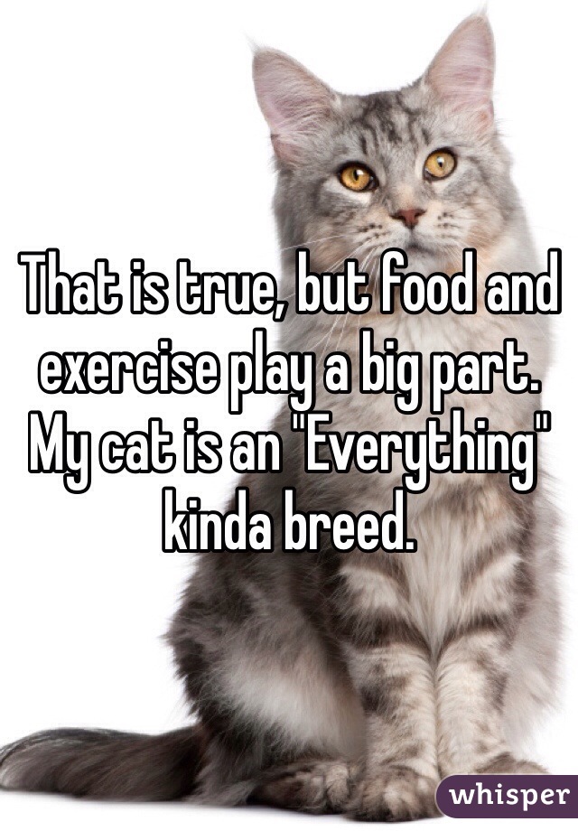 That is true, but food and exercise play a big part. My cat is an "Everything" kinda breed. 