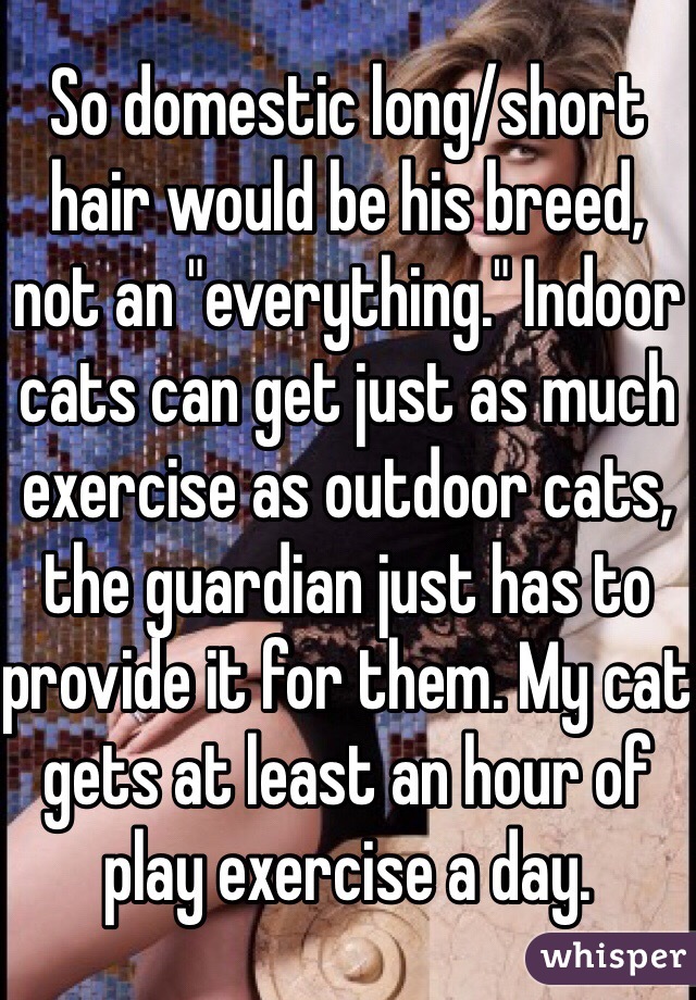 So domestic long/short hair would be his breed, not an "everything." Indoor cats can get just as much exercise as outdoor cats, the guardian just has to provide it for them. My cat gets at least an hour of play exercise a day. 