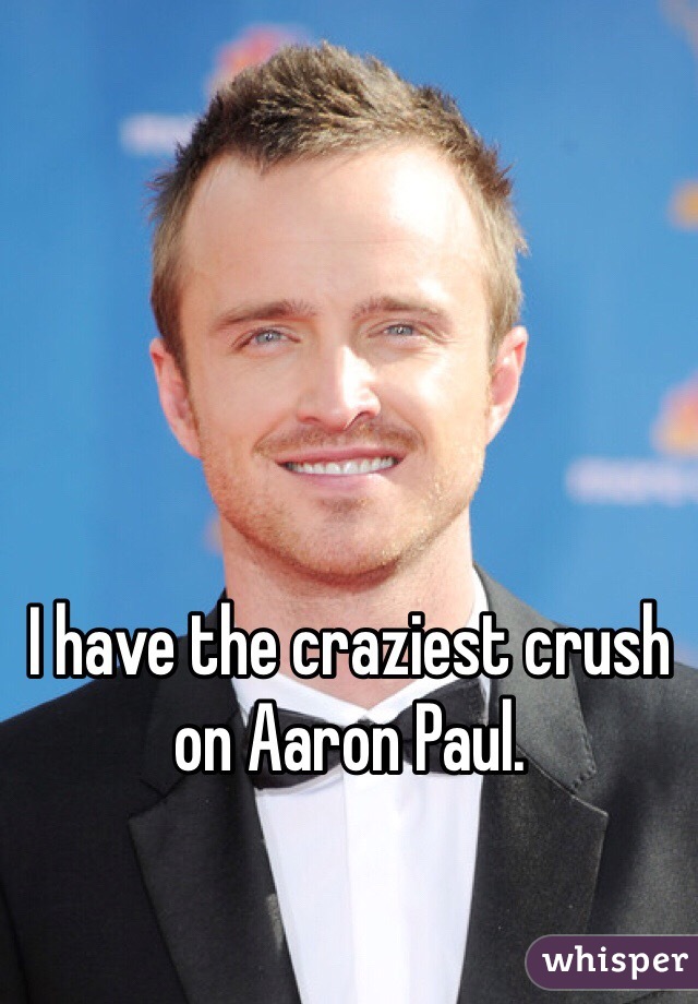 I have the craziest crush on Aaron Paul.
