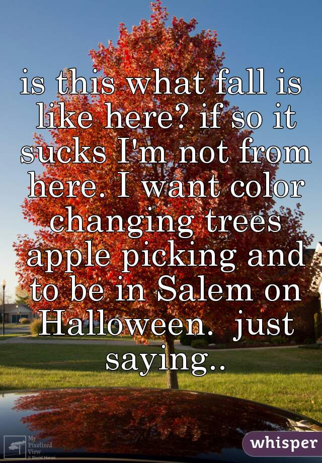 is this what fall is like here? if so it sucks I'm not from here. I want color changing trees apple picking and to be in Salem on Halloween.  just saying..