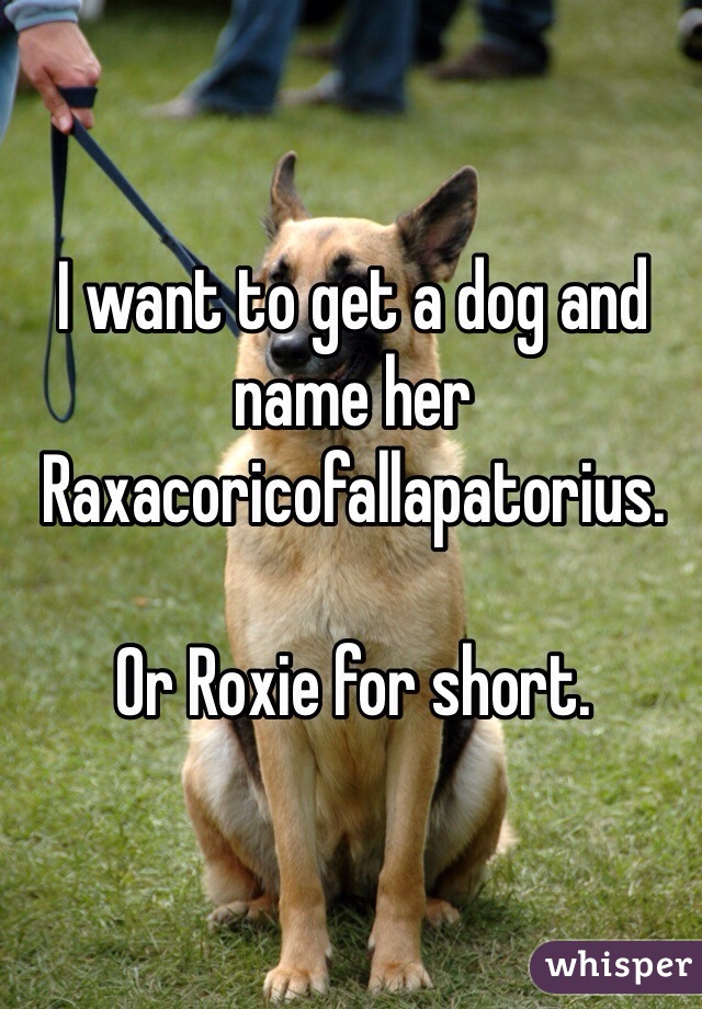 I want to get a dog and name her Raxacoricofallapatorius.

Or Roxie for short.