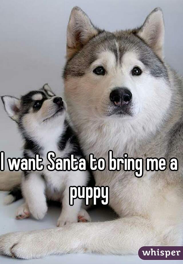 I want Santa to bring me a puppy 