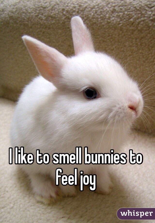 I like to smell bunnies to feel joy