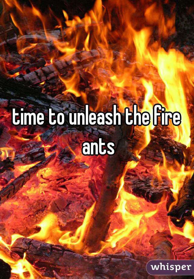 time to unleash the fire ants