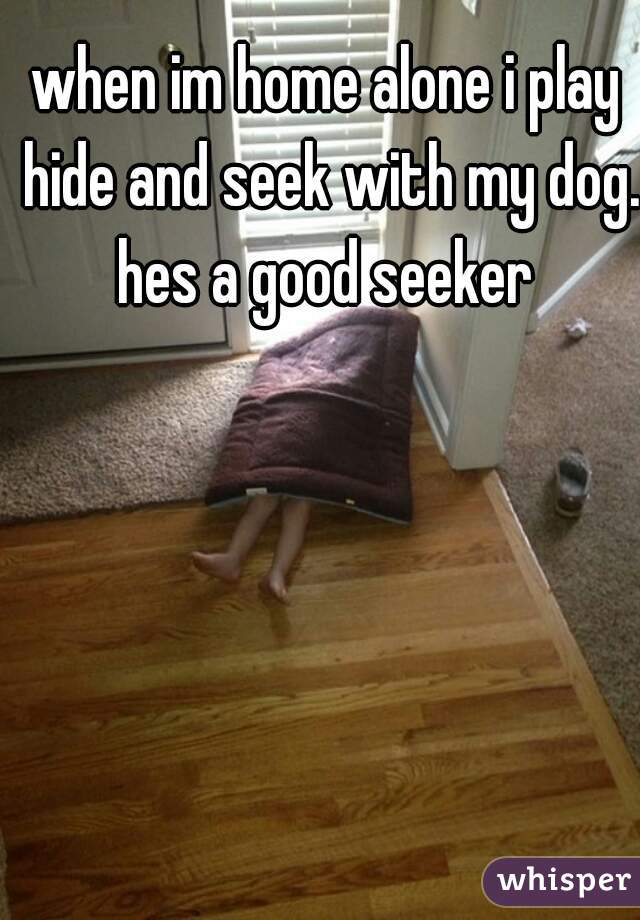 when im home alone i play hide and seek with my dog. hes a good seeker 