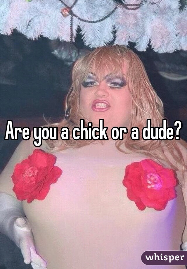 Are you a chick or a dude?