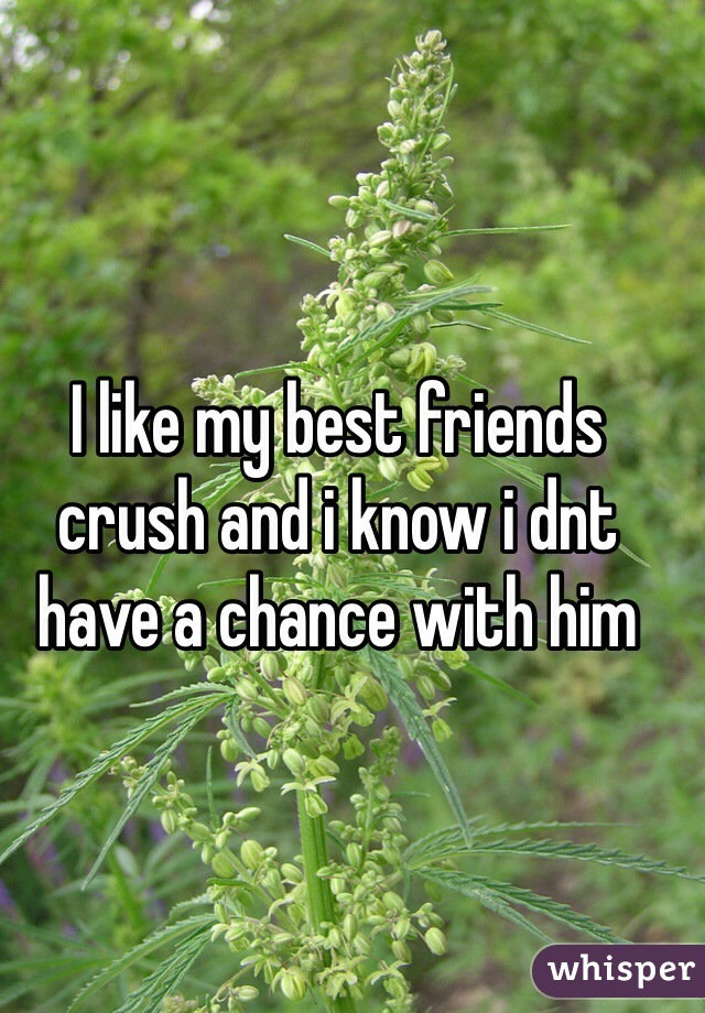 I like my best friends crush and i know i dnt have a chance with him 