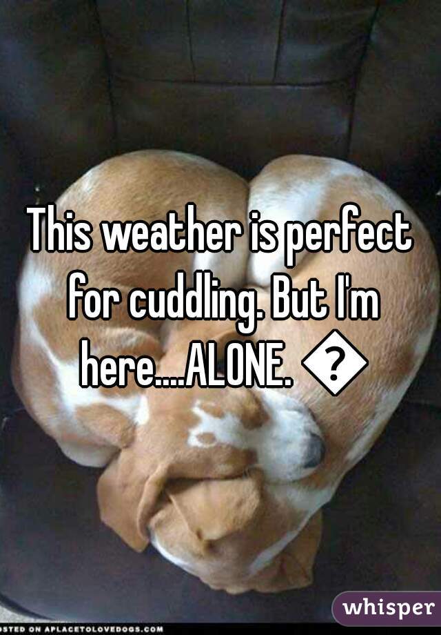 This weather is perfect for cuddling. But I'm here....ALONE. 😥