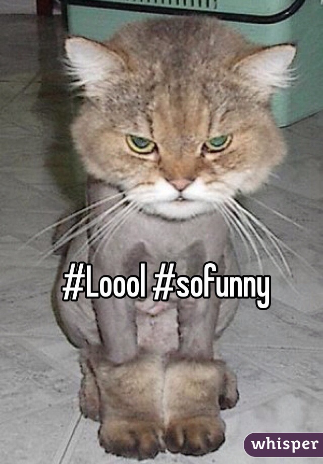 #Loool #sofunny 