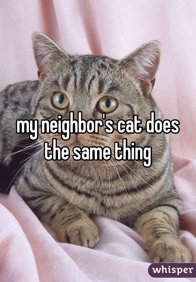my neighbor's cat does the same thing 