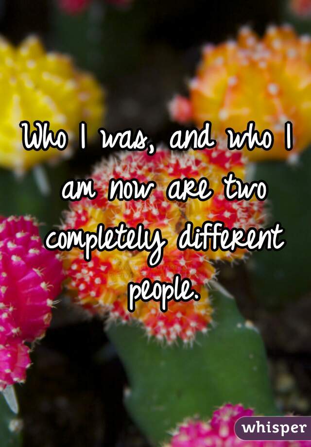 Who I was, and who I am now are two completely different people.