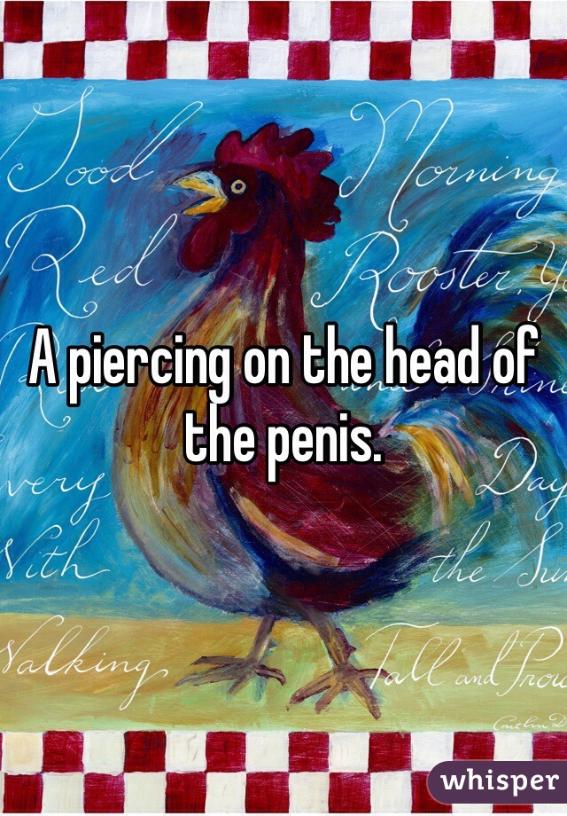 A piercing on the head of the penis. 