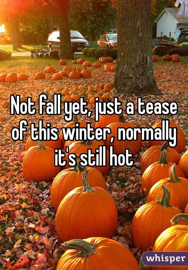 Not fall yet, just a tease of this winter, normally it's still hot