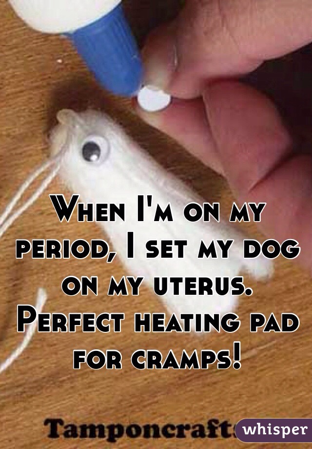 When I'm on my period, I set my dog on my uterus. Perfect heating pad for cramps!