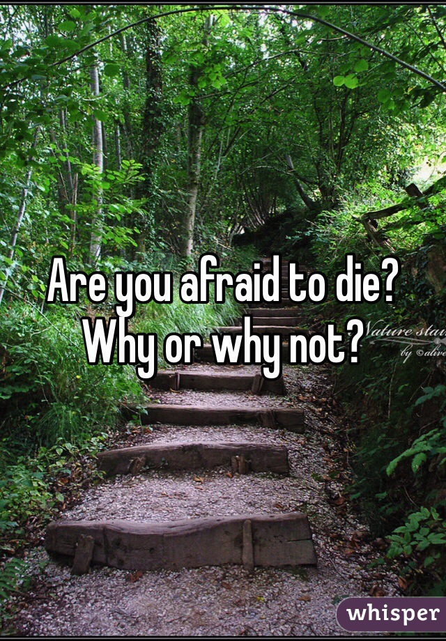Are you afraid to die? Why or why not? 