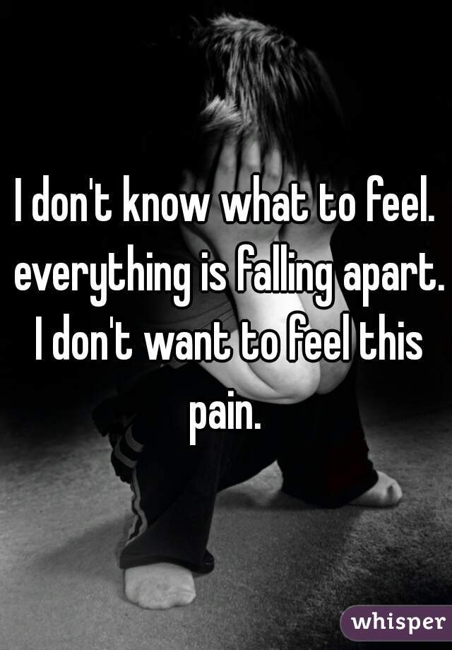 I don't know what to feel. everything is falling apart. I don't want to feel this pain. 