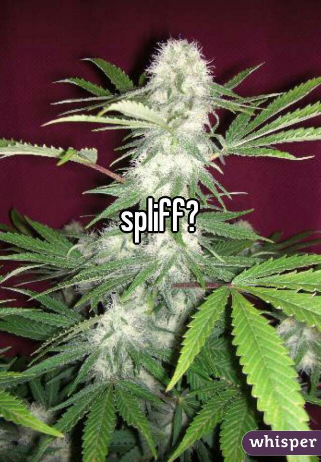 spliff?